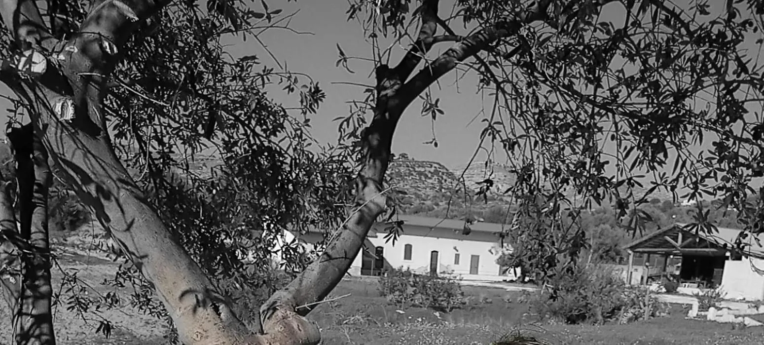 Hotel Fodor Avola