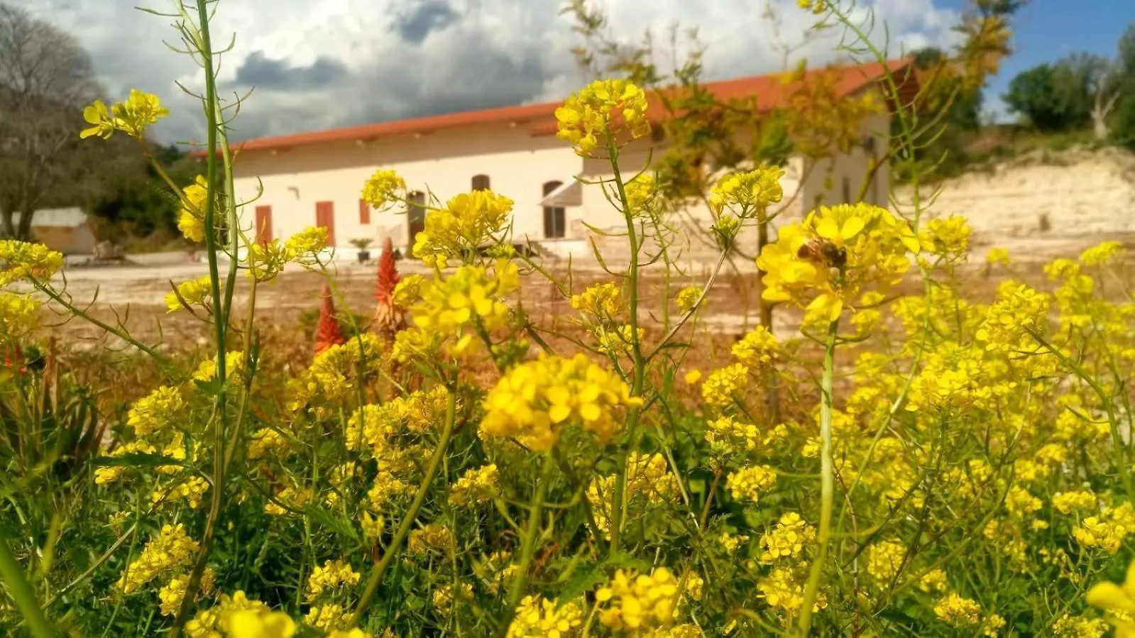 Pensjonat Hotel Fodor Avola