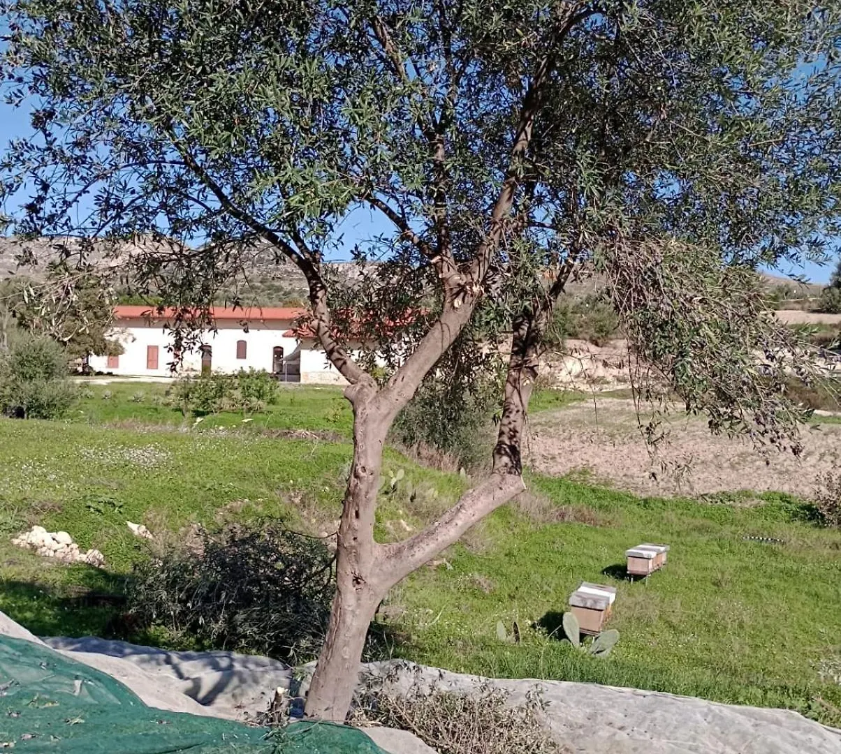 Pensjonat Hotel Fodor Avola